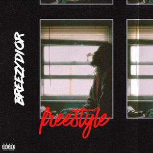 Freestyle (Explicit)