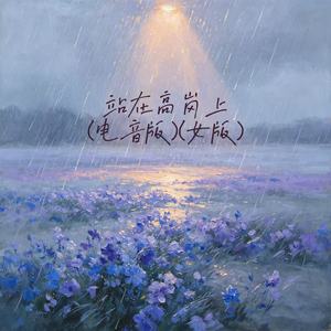 站在高岗上 (电音女版)封面