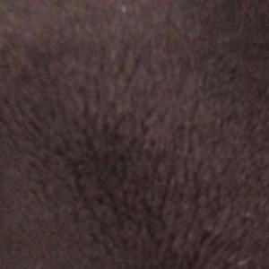 Minutes and Agenda (feat. Moximaro) (Explicit)