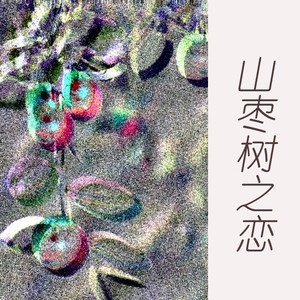 山枣树之恋