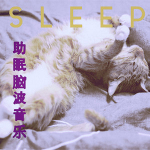 深度睡眠（δ波）封面