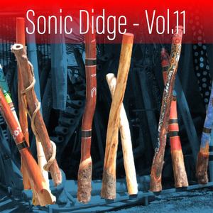 Sonic Didge, Vol. 11