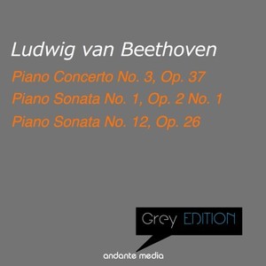 Piano Concerto No. 3 in C Minor, Op. 37 - II. Largo