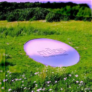 Endless (feat. notmyles)