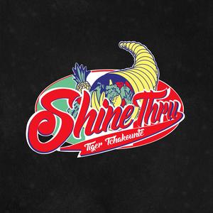 Shine Thru (Radio Edit)