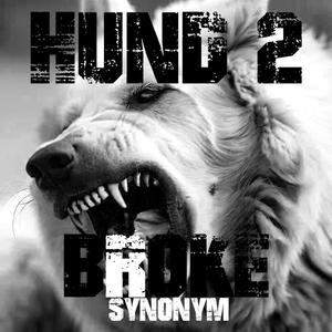 Hund 2 (Explicit)