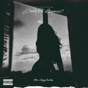 Como Te Llamas? (feat. GeezyGoinHam) (Explicit)