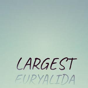 Largest Euryalida