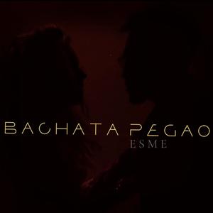 Bachata Pegao