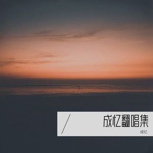 四十岁的男人 (DJ版)