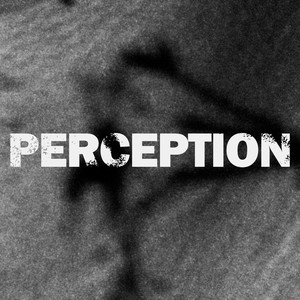 Perception