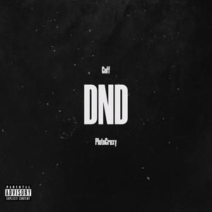 DND (feat. PlutoCraxy) (Explicit)