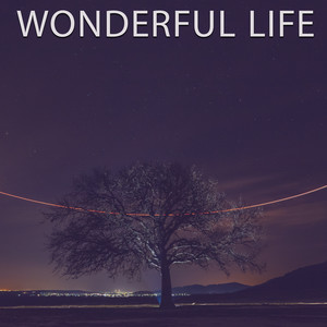 Wonderful Life