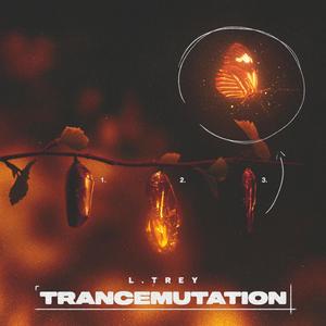 Trancemutation (Explicit)