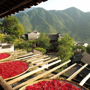 久违的乡村 (Live)