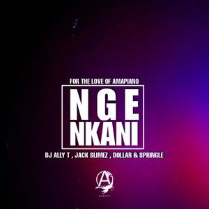 Nge Nkani (feat. Jakalas, Dollar & Springle)