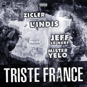 Triste France(feat. Jeff Le Nerf, Zicler & L'Indis) (Explicit)