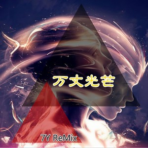 温柔乡 (DJ7嫂版)封面