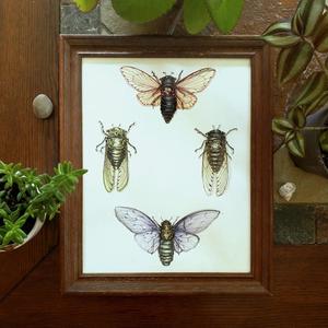 Man on the Street, Pt. 2