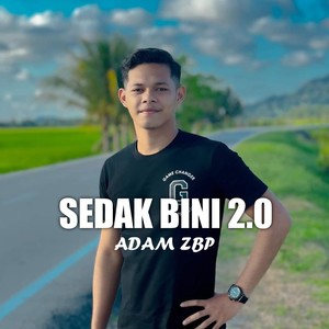 Sedak Bini 2.0