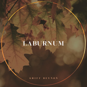 Laburnum