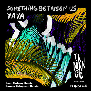 Something Between Us (Mahony Remix)