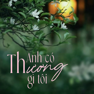 Anh Có Thương Gì Tôi