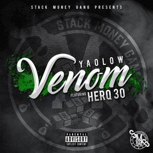 Venom(feat. Herq 30) (Explicit)