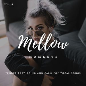 Mellow Moments - Tender Easy Going And Calm Pop Vocal Songs, Vol. 28