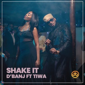 Shake It (Explicit)