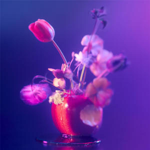 ラストシーン (Last Scene)