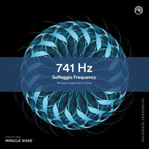 741 Hz Removes Toxins and Negativity