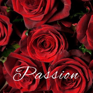 Passion(feat. True K) (Explicit)