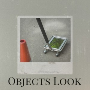 Objects Look