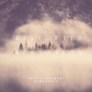 Distorted Sensation(feat. Dimorphic)