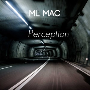 Perception (Explicit)