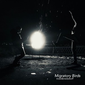 Migratory Birds