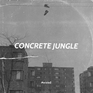 Concrete Jungle