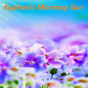 Euphoric Morning Sun