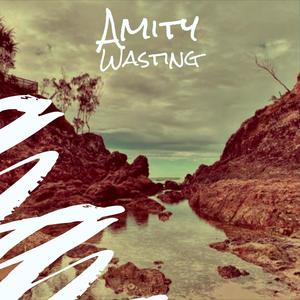 Amity Wasting