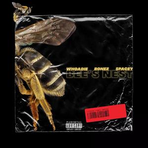 Bee's Nest(feat. Bankroll Bonez & Andrew Spacey) (Explicit)