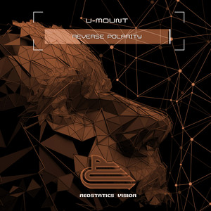 Reverse Polarity (Extended Mix)