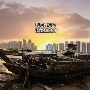 别把我忘记