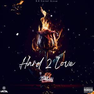 Hard 2 Love (Explicit)