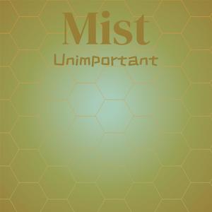 Mist Unimportant