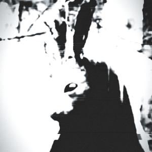 2 Goons Vol. 2 (Explicit)