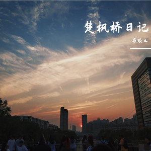楚枫桥日记