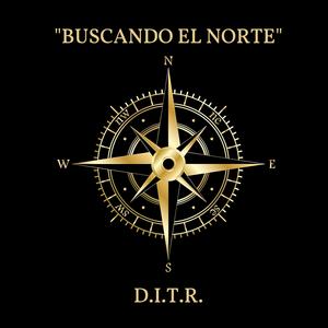 Buscando el Norte