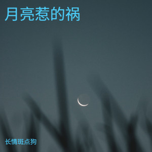 月亮惹的祸（我承认都是月亮惹的祸）