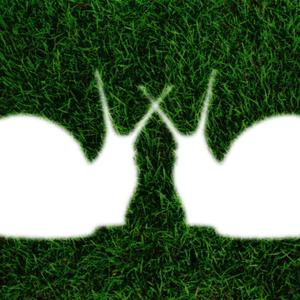 algunas veces (feat. Cinthya Miranda)